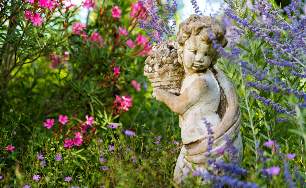Paysagiste à Gordes pour création de jardin avec plantes sans entretien