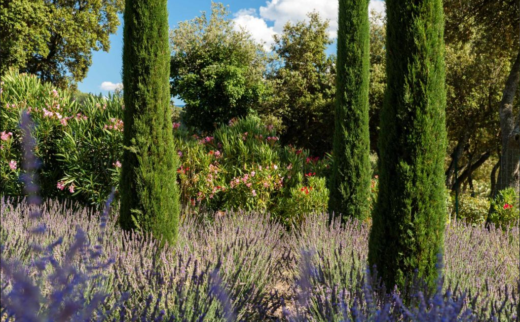 Paysagiste pour plantation et création de jardin méditerranéen à Gordes dans le Lubéron