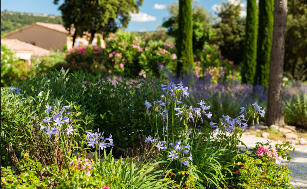 Paysagiste pour plantation et création de jardin méditerranéen à Gordes dans le Lubéron