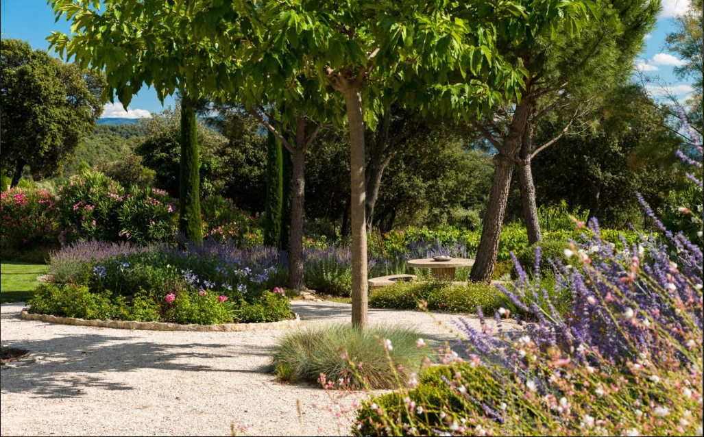 Paysagiste pour plantation et création de jardin méditerranéen à Gordes dans le Lubéron