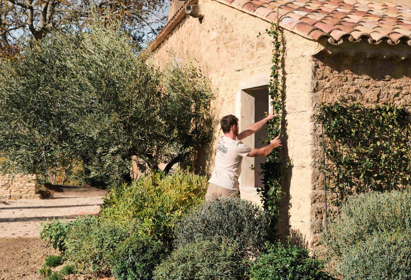 Nettoyage de jardin en fin d’hiver ou avant l’été à Gordes et dans le Luberon
