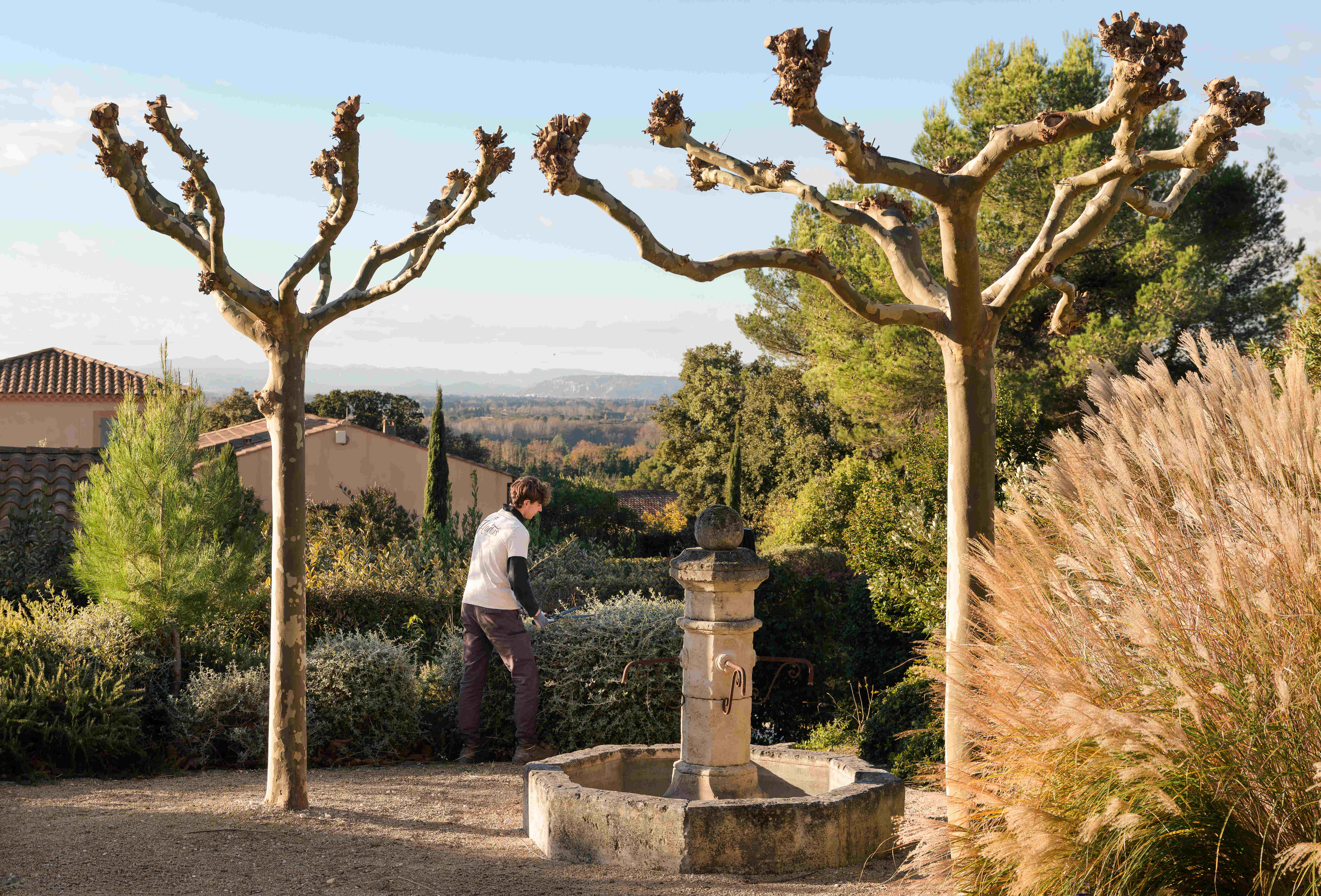 Traitements préventifs et curatifs pour jardin à Gordes et dans le Lubéron