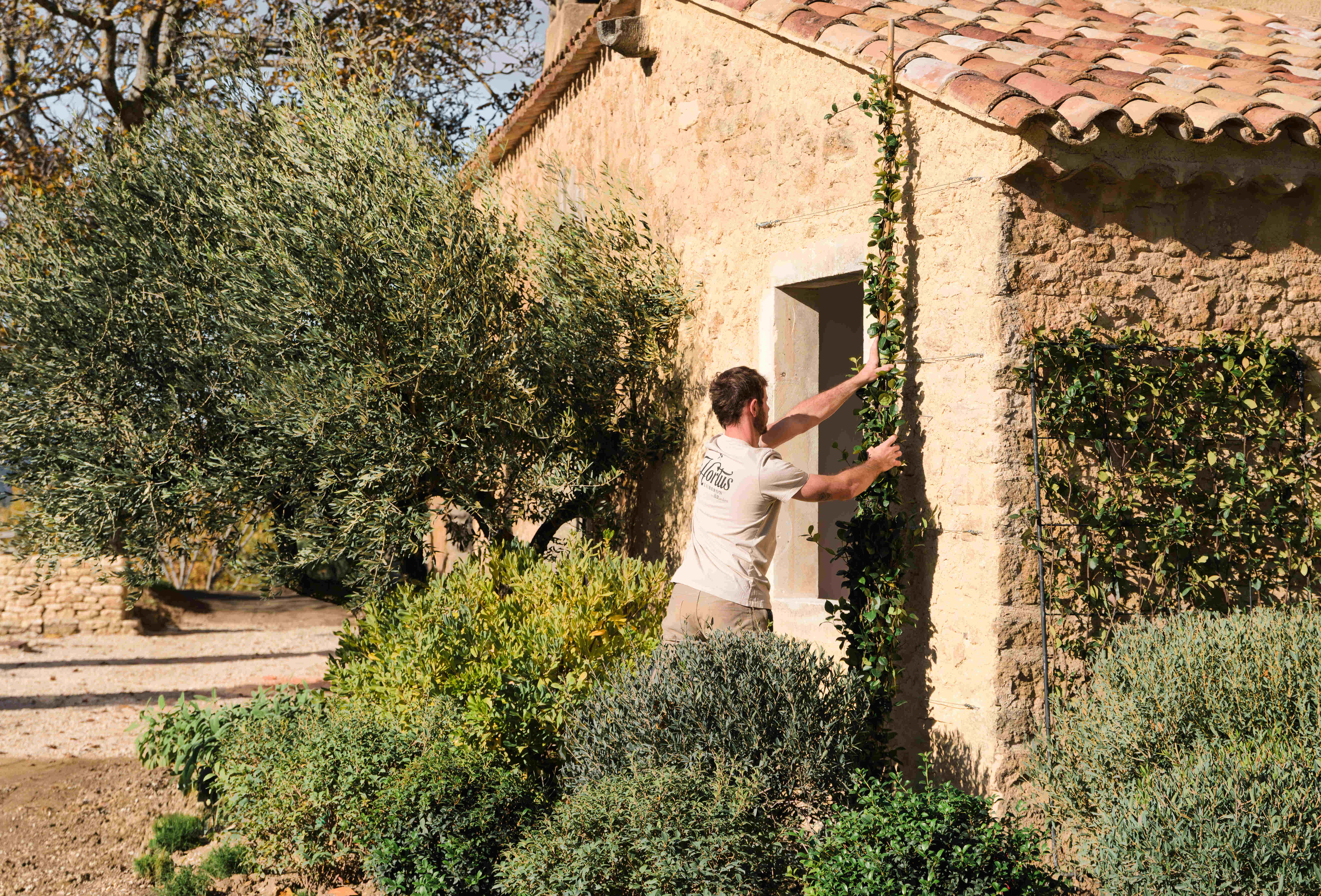 Création de beau petit jardin sans entretien à Gordes et dans le Lubéron