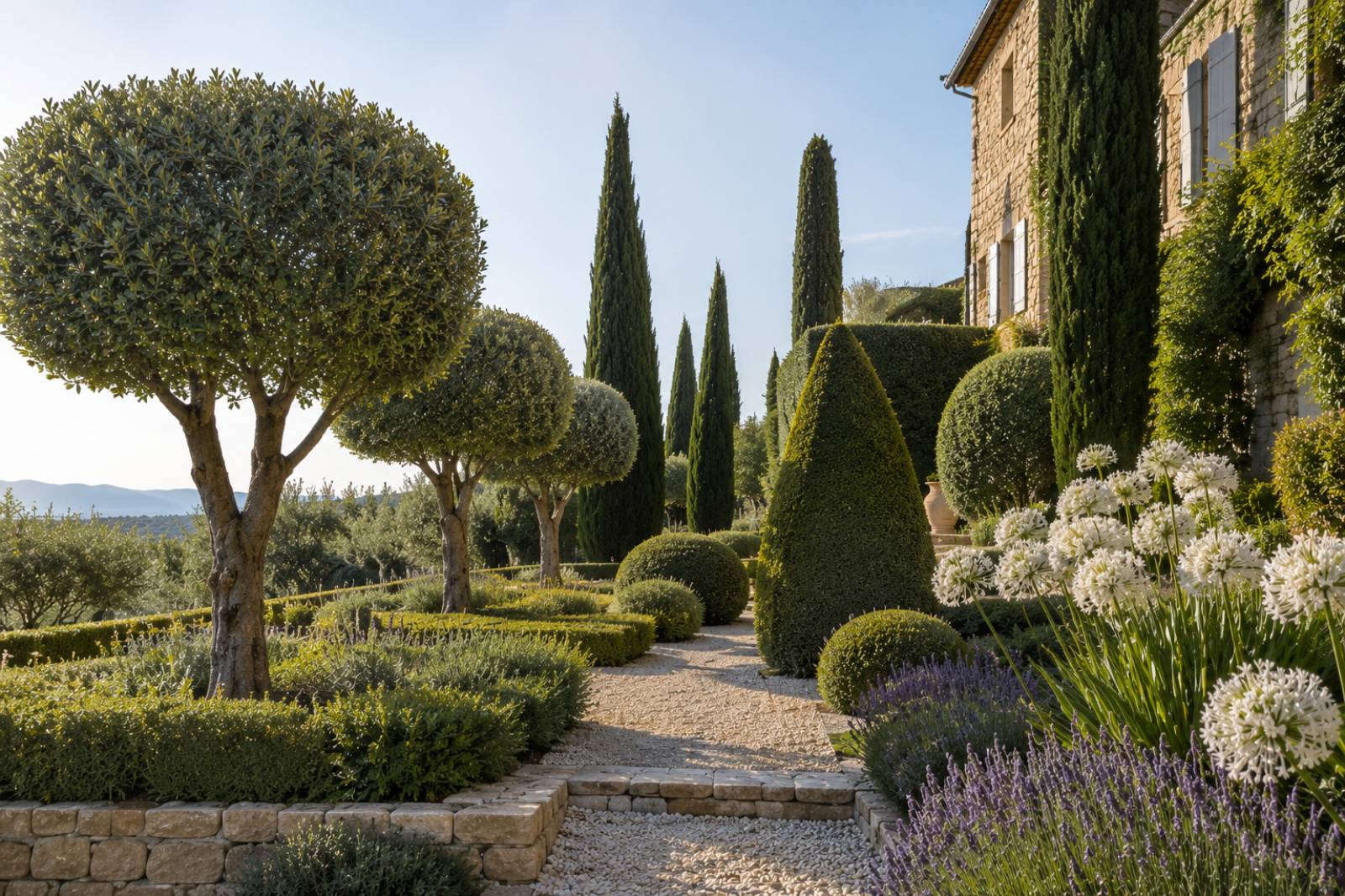 Taille architecturée des arbres d'un jardin provençal à Gordes 