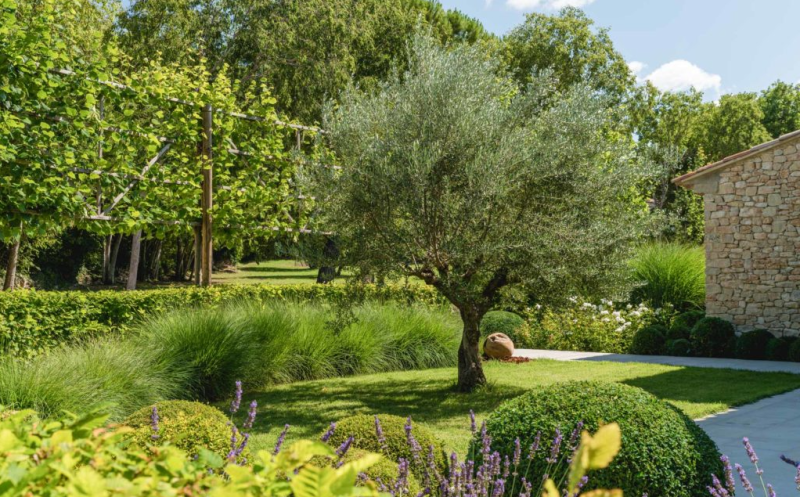 Paysagiste pour conception et création d'un jardin méditerranéen à la française à Gordes