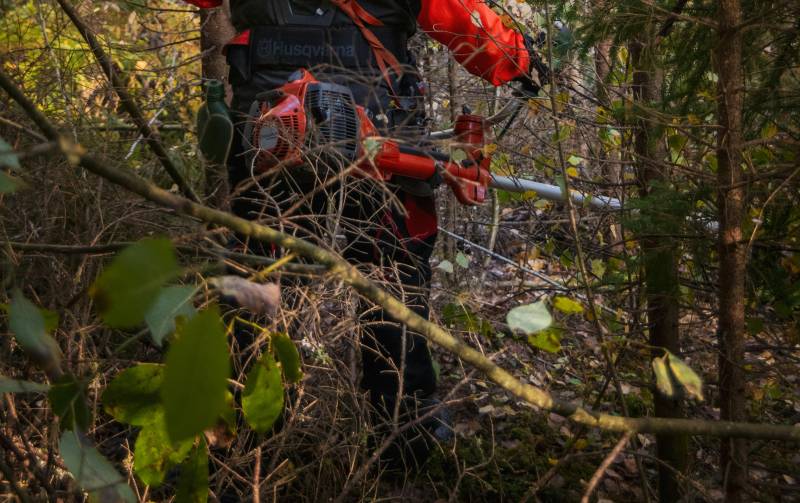 Débroussaillage de jardin dans le Lubéron