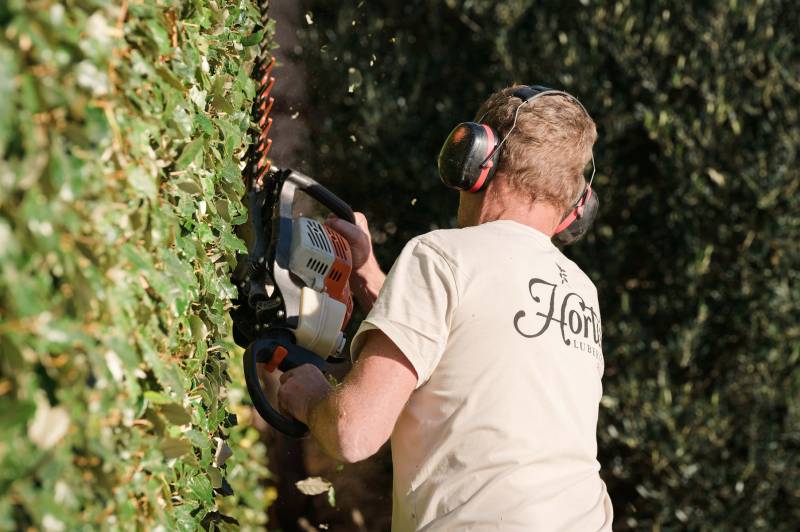 Entretien de jardin et taille de haie dans une villa à Gordes