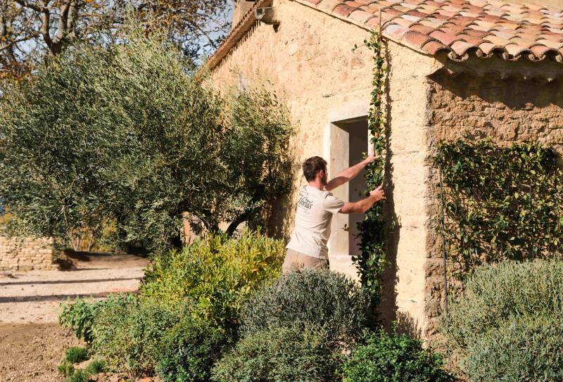 Création de beau petit jardin sans entretien à Gordes et dans le Lubéron